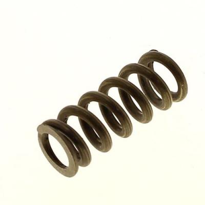 ADEPEM A VOS MARQUES, PRET, REPAREZ ! Ressort de valve pour Nettoyeur haute pression Lavor