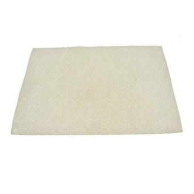 INTERFILTER Filtre AF1 antibact&eacute;ries universel &agrave; d&eacute;couper Aspirateur 09844630 HOOVER, PROLINE - 44688 