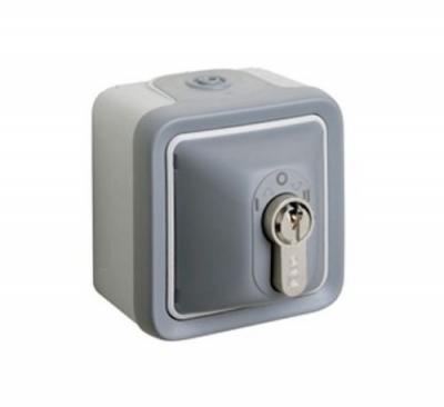 LEGRAND Interrupteur &agrave; cl&eacute; complet en saillie Plexo IP20 - Gris