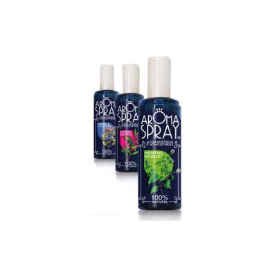 AROMASPRAY Saint C&ocirc;me  Sauge Citronnelle 100 ml