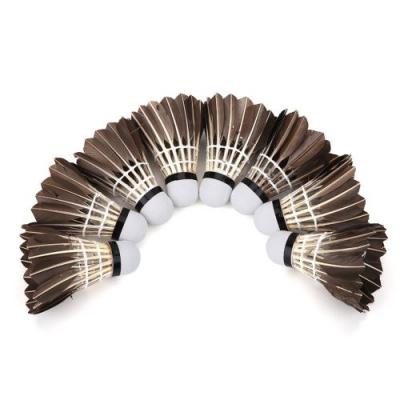 GENERIQUE Volant de badminton lot de 12 Plumes d'oie Durable 