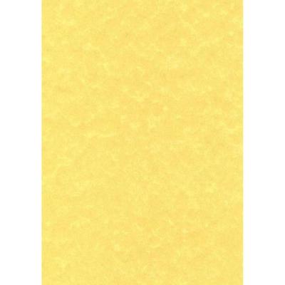 GENERIQUE Decadry PCL1600 Bo&icirc;te de 100 feuilles 21X29,7 cm 95 g Parchemin Or