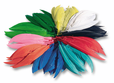  Plume Indien Assorti - Sachet De 100g