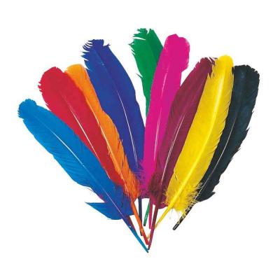 OZ INTERNATIONAL  - Plume Indien Coloris Assorti -sachet De 10