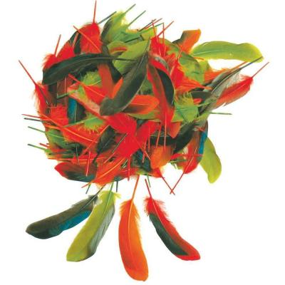OZ Plumes D'automnes - Sachet De 15g