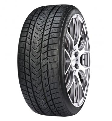 GRIPMAX  Status Pro Winter 255/40 R19 100V