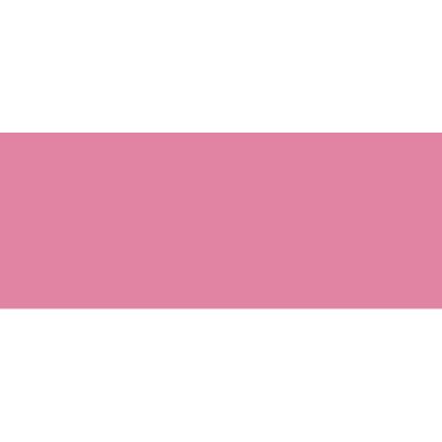 TOMBOW  Feutre Dessin Double Pointe Abt Dual Brush Pen 703 Rose Rose