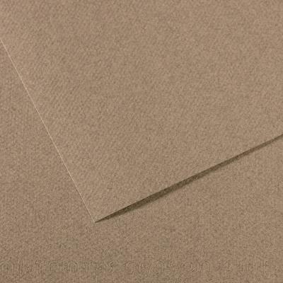CANSON Feuille  MI-TEINTES 50X65 160g gris chin&eacute; 431