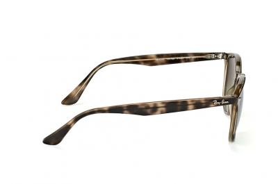 Ray - Ban Unisex RB4259 731/E8 Lunettes de soleil Inject&eacute; Tortue Marron Pantos Normale Ombr&eacute;