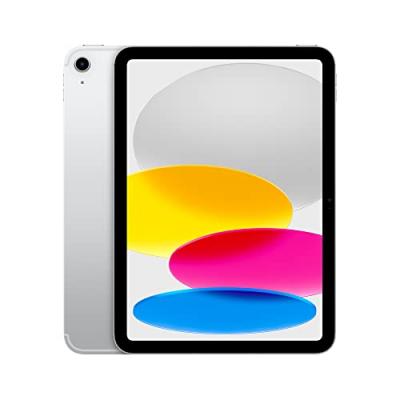 Apple iPad 10,9'' 256 Go Argent 5G 10&egrave;me G&eacute;n&eacute;ration Fin 2022 