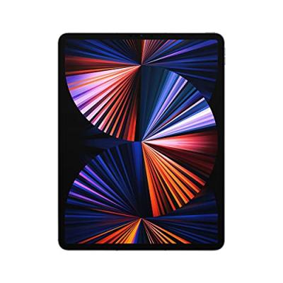 Apple iPad Pro 12,9" WiFi + Cellular 2021 256Go gris sid&eacute;ral