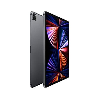 Apple iPad Pro 12,9" WiFi + Cellular 2021 512Go gris sid&eacute;ral