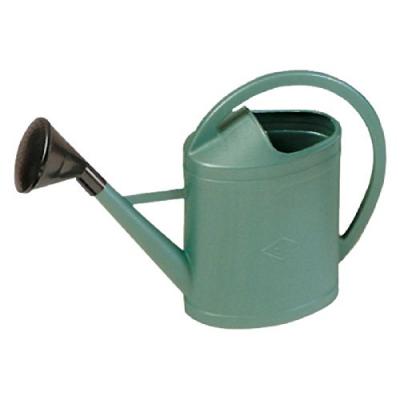 EDA ARROSOIR PLAST.PARISIEN 11L VERT