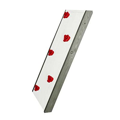 AXI Mur d'escalade pour beach towers sunny