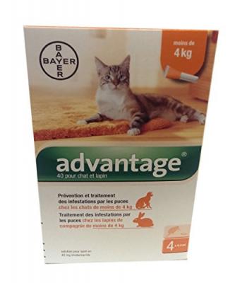 BAYER ADVANTAGE 40 pour Chat (- de 4 Kg) (4 pipettes de 0,4 ml)