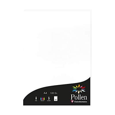 EXACOMPTA CLAIREFONTAINE 50 feuilles A4 Pollen - Blanc - 120 g