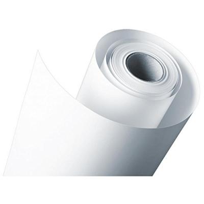  Epson S0450 Papier Proofing Fogra (205) 24 X 50,5M