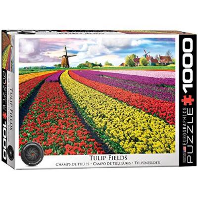 EUROGRAPHICS Puzzle 1000 pi&egrave;ces : champ de tulipes