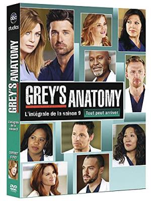 Grey s anatomy saison 9 dvd