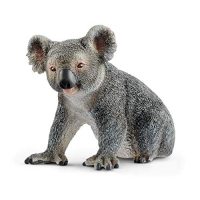 SCHLEICH Figurine Koala Multicolore 
