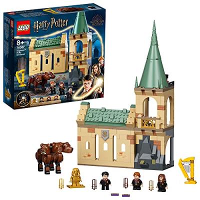 LEGO Harry Potter 76387 Poudlard Rencontre avec Touffu 