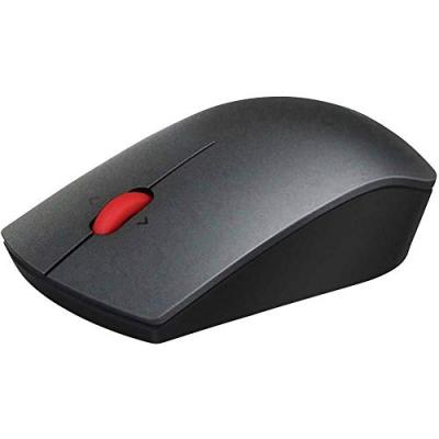 LENOVO  Professional - souris - 2.4 GHz