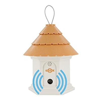 PETSAFE Bo&icirc;tier anti aboiement ext&eacute;rieur &agrave; ultrasons 