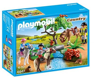 Cavaliers Avec Poneys Et Cheval