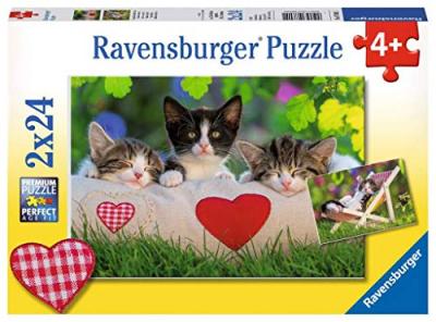RAVENSBURGER Puzzle 2x24 pi&egrave;ces chatons au repos