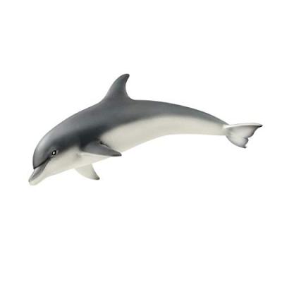 SCHLEICH Figurine Dauphin Multicolore 