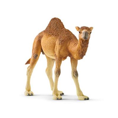SCHLEICH  Wild Life Dromedary, Figurine