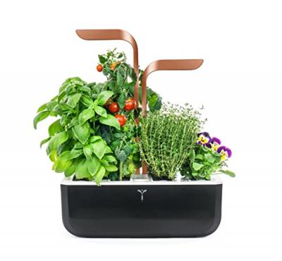 VERITABLE Potager V&eacute;ritable Copper