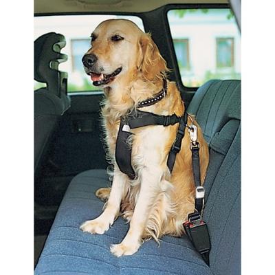 TRIXIE  Harnais Voiture de S&eacute;curit&eacute; pour Animaux Taille Medium 50-70 cm