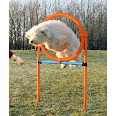 TRIXIE  Dog Activity Anneau Agilit&eacute; 115 x 3 cm / 65 cm Orange / Bleu