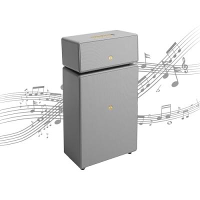 AUDIOPRO Audio Pro Drumfire II Enceinte WiFi multiroom sans Fil Bluetooth Gris