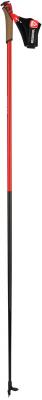 ROSSIGNOL B&acirc;tons de ski de fond racing unisexe FORCE 7