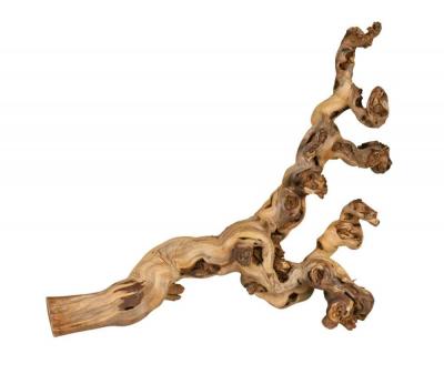 TRIXIE Pied De Vigne Brul&eacute;s 55&ndash;80 Cm - 76171 - Mon Animalerie 