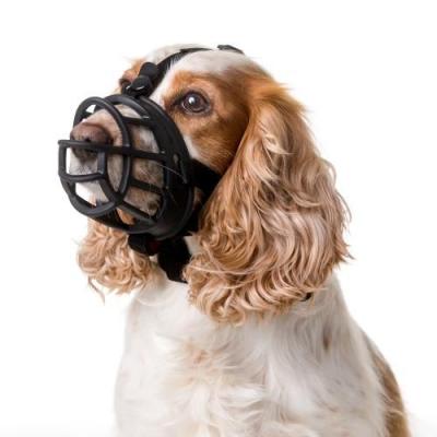GENERIQUE Cie Animals - Museli&egrave;re Baskerville Ultra Muzzle - Taille 3