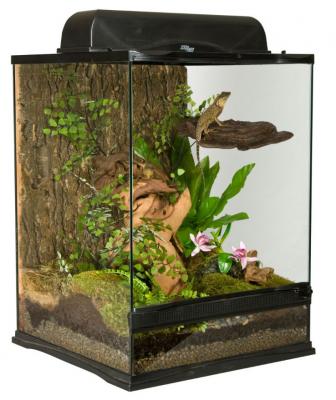 GENERIQUE Zoomed - Terrarium Naturalistic