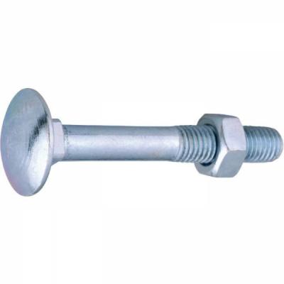 VISWOOD Boulon T&ecirc;te ronde collet car&eacute; - AZ 4.8 - &Oslash;7 x 100 mm - Boite de 100 - 50170100