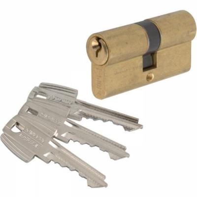 TESA Cylindre 2 entr&eacute;es s'entrouvrant laitonn&eacute; - 30 x 40 mm - TE5 - 