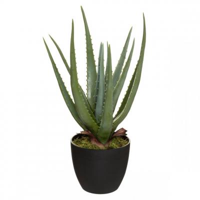 ATMOSPHERA CREATEUR D INTERIEUR Atmosphera - Plante artificielle Aloe Vera en pot H 44 cm Vert