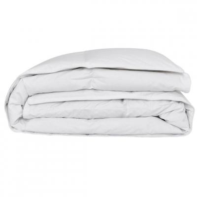 ESSIX Couette l&eacute;g&egrave;re en percale de coton C&eacute;leste 240x260cm