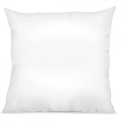 SELENIA My Home Collection Oreiller anti transparent blanc 60x60 cm