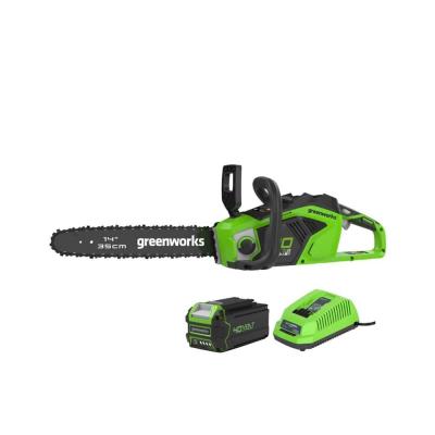 GREENWORKS Kit de scie &agrave; cha&icirc;ne 40 v 35 cm 