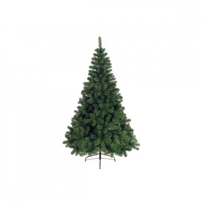 SAPIN IMPERIAL NF CHARN 