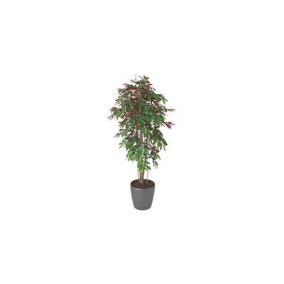 Plante artificielle d'int&eacute;rieur Capensia + pot 