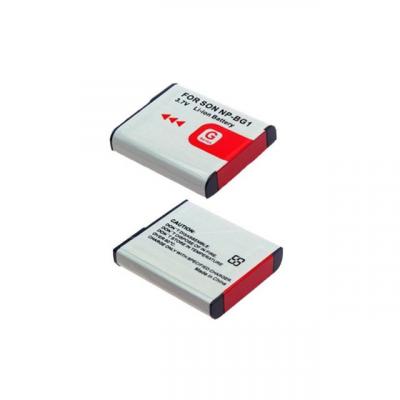 DLH ENERGY DLH YS-BP500-1000 - Pile pour appareil photo Li-Ion 1000 mAh - gris