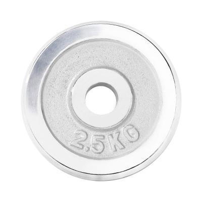 GORILLA SPORTS Disques de musculation en fonte chrom&eacute;s 30/31 mm 2,5 KG 