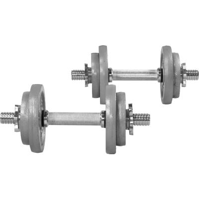 GORILLA SPORTS Set d'halt&egrave;res courts de 20 KG avec disques en fonte gris